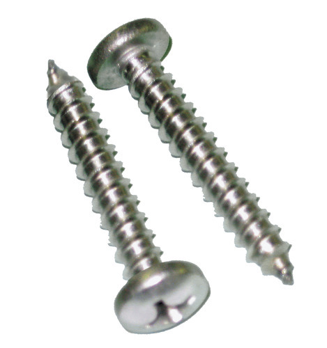 MS Pan Philips Self Tapping Screw Manufacturers